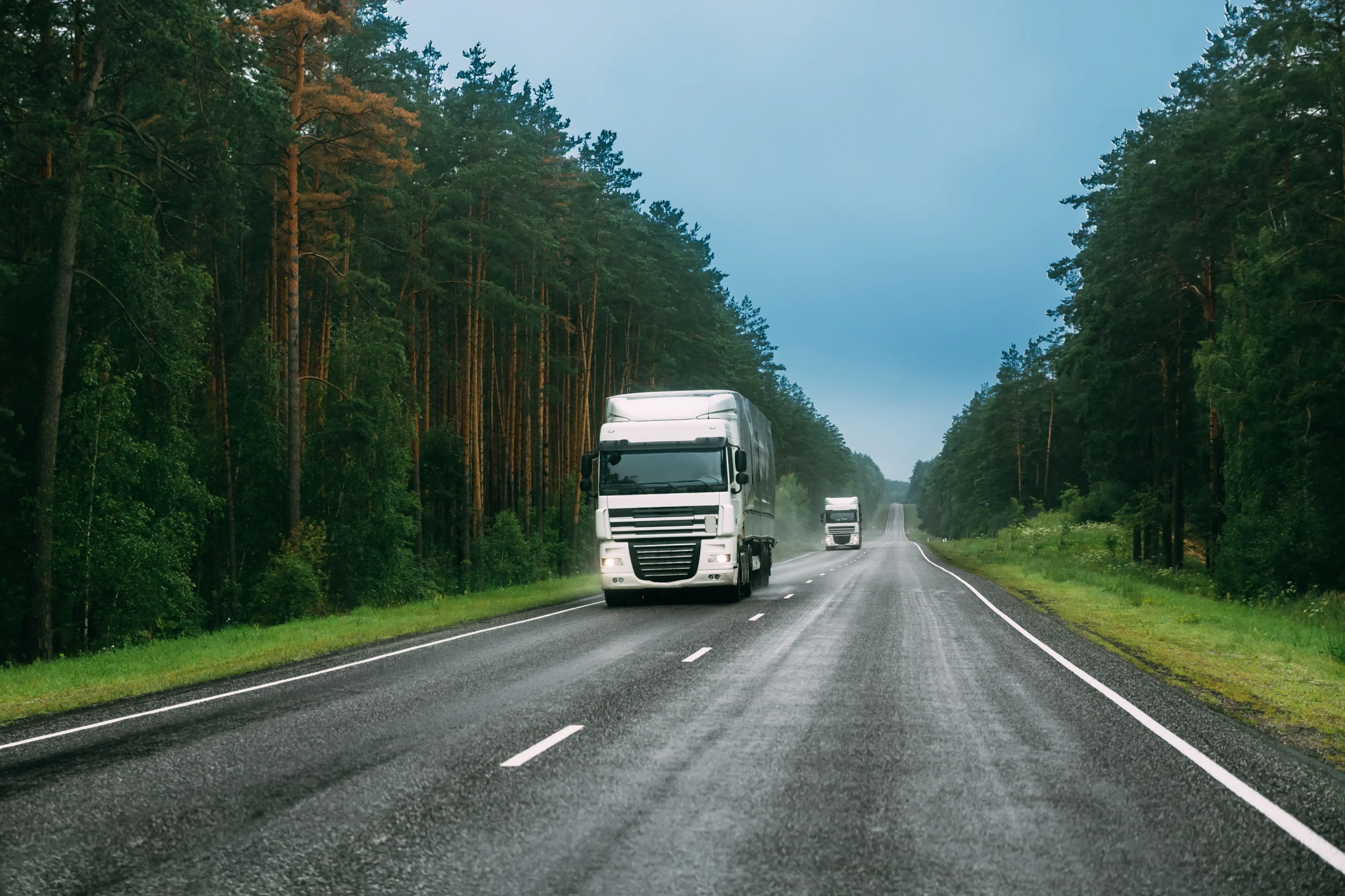 Paindlikkuse mootor